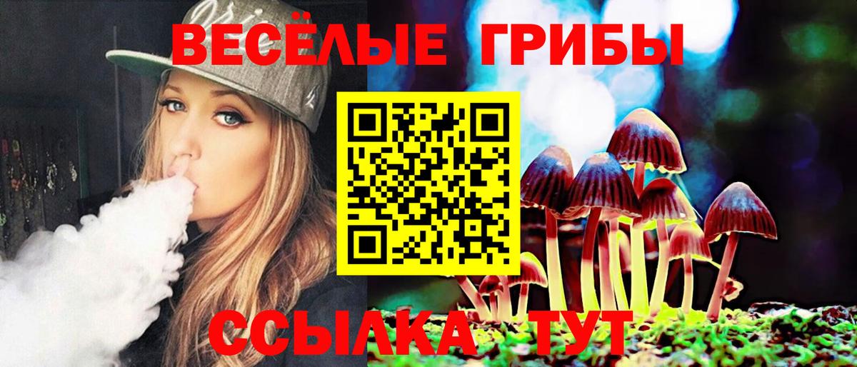 закладки  Вход с VPN  Галлюциногенные грибы Cubensis  Ульяновск  Псилоцибиновые грибы Magic Shrooms 